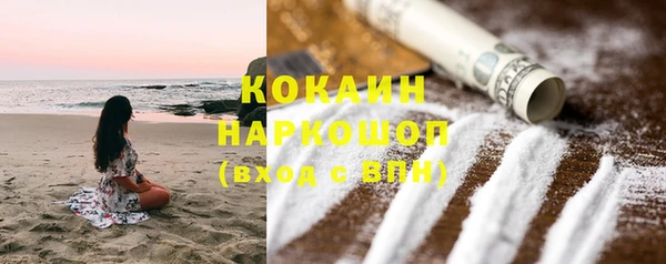 прущие крисы Бородино