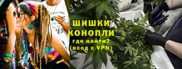 прущие крисы Бородино