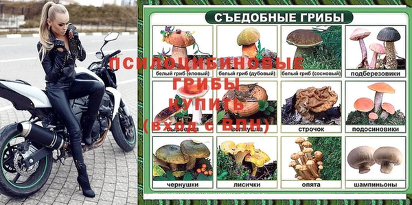бошки Бугульма