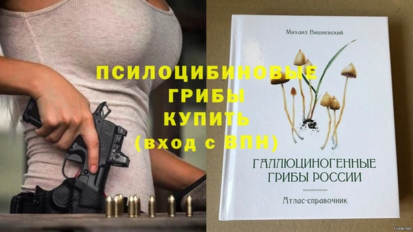 прущие крисы Бородино