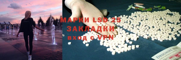 спиды Богородицк