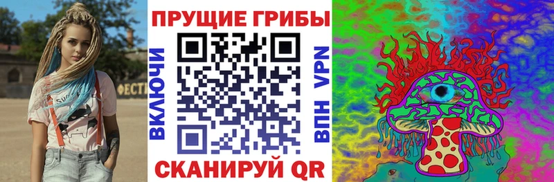 MEGA маркетплейс  что такое наркотик  Мытищи  Псилоцибиновые грибы прущие грибы 
